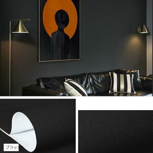 ǎV[ fB 10m ͂  DIY ǎV[g  h CNV[g EH[XebJ[ (ubN, 60CMx10M)