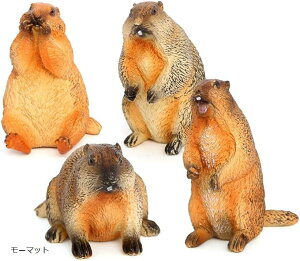 }[bg u CeA  A rO 둕 tBMA  ([}bg)