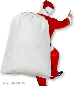 T^N[X   傫 NX}X 傫TCY (zCg, (120x90))