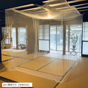 ᒠ  傫 LO TCY Lv AEghA xr[ Jf h ΍ 2m Js {̂̂(zCg, 2m Js ({̂̂))