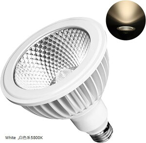 A琬Cg E26 v 24WX|bgCg tXyNg F LED琬d r[p38x n5800K(White, Fn5800K)