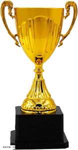 Ǖi{ gtB[ Jbv S[h F X|[c  St Ry ܕi LOi (S[h, p^E1)