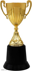 Ǖi{ gtB[ Jbv S[h F X|[c  St Ry ܕi LOi (S[h, ی^E1)