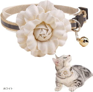 L  t   t[`[ y ybg lR Be Lp ߉\ (zCg)