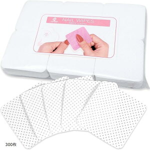 lCCv dWF@ WFlC щHȂ Mӂ(300)