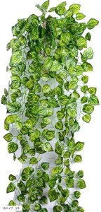 tFCNO[ CeA C~e[V lH ϗtA Ǌ|   (B^Cv, 1{)