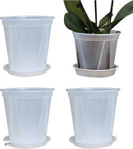 Aؔ vX`bN  Mt ϗtA ƒ؉ v^[ 4 (NA[, 6)