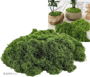 lH 100g ~ ۋ tFCN X    ǖ  ͌^ WI} (XO[, 100g)