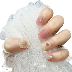 lC`bv V[g  t 3D [P[Xt 10 (sN, L)