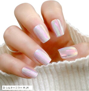 ネイルチップ 手作り 付け爪 収納ケース 10枚入 マグネットネイル オーロラ ミラー(D シルキーミラー M, M)