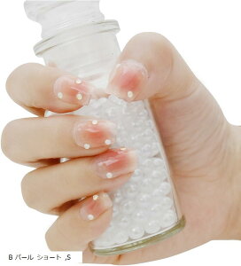 lC`bv  t `[NlC 킢 y ȒP ZtlC HM-0187-R13(B p[ V[g, S)