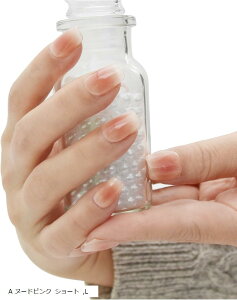 lC`bv  t `[NlC 킢 y ȒP ZtlC HM-0187-R13(A k[hsN V[g, L)