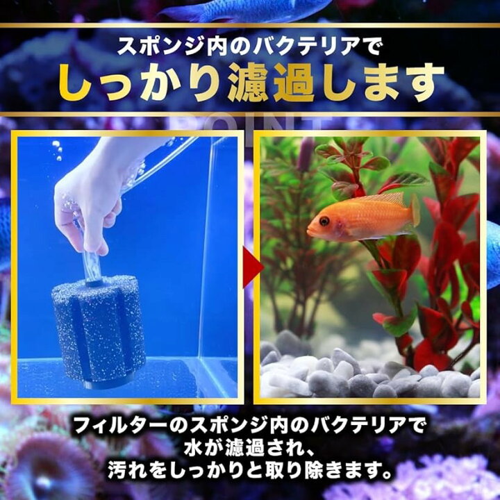 楽天市場】水槽 スポンジ フィルター アクアリウム ろ材 ろ過 濾過装置 