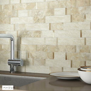 ȑ嗝Β^CV[diy Lb`pl ǂ̑ϔMƐʏ ̖hɍœK x[WF 5 (x[WF)