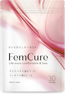 tFLA 3W_x@\GNI[60{ fP[g][ Tv  ۊ tFPA L̂Y݂ 30