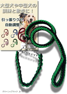 n[t`[N ^ ^ ^   p ^ (O[xubN, S)