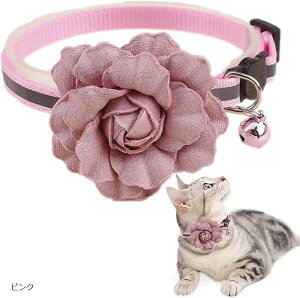 L  t   t[`[ y ybg lR Be Lp ߉\ (sN)