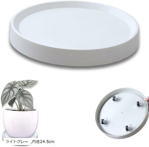 ϗtA  LX^[ Aؔ 󂯎M u v^[X^h ԑ 360°] K[fjO (CgO[, a24.5cm)