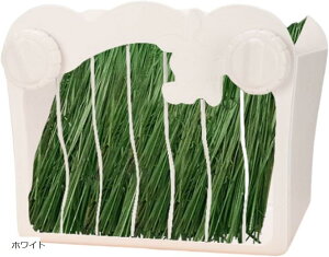 `V[|bg q tB[_[  bg Ot e zCg (zCg)