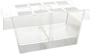  uP[X ɐBu{bNX t Mы ӏ {bNX AN ()