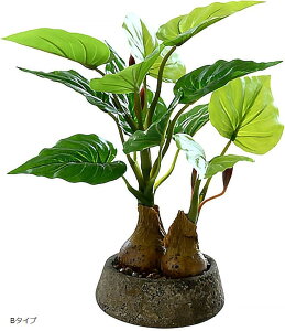 ϗtA tFCN O[ tFCNO[  Xe lHϗtA ~j   A (O[iBj, ~j)