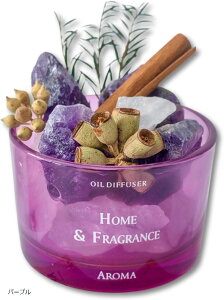 A}Xg[ VR fBt[U[ Εsv  CeA A}ICΉ v[g Mtg tFCNO[t (p[v, Medium)