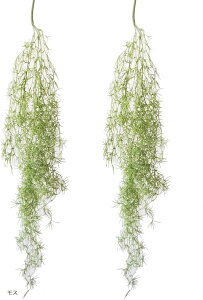 tFCNO[ XpjbVX 2{ Zbg ϗtA Ǌ| CeA G  lH nMO  ݂ (X)