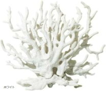 楽天市場】オブジェ 珊瑚の通販