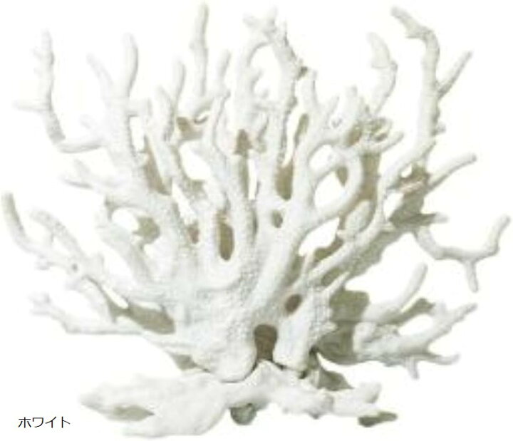 楽天市場】サンゴ 珊瑚 礁 アクアリウム 水槽オブジェ 人工珊瑚 