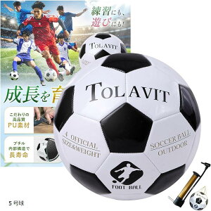 TbJ[{[ 4 KɂAVтɂBhĂꋅB Sҁ`Ҍ ȈՋC {[lbgt (ubN@S[h, 5)