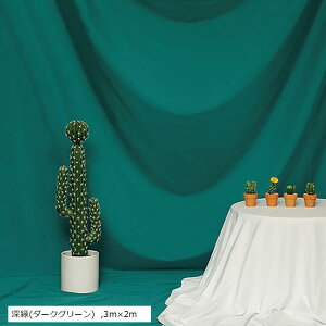 wiz Bep Bez obNXN[ wiV[g obNOEh ʐ^ X^WIwi XN[V[g ([(_[NO[), 3mx2m)