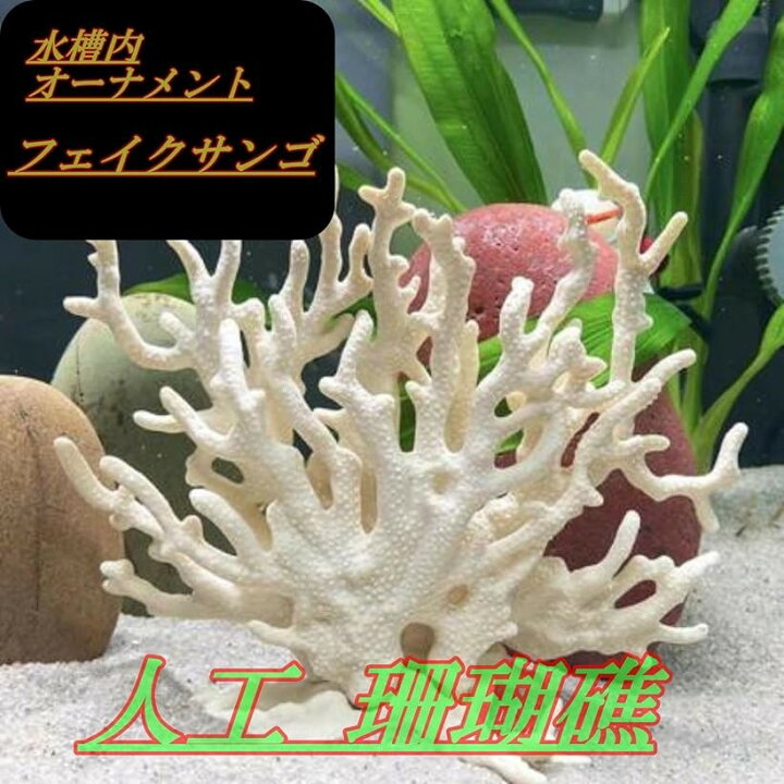 楽天市場】サンゴ 珊瑚 礁 アクアリウム 水槽オブジェ 人工珊瑚 