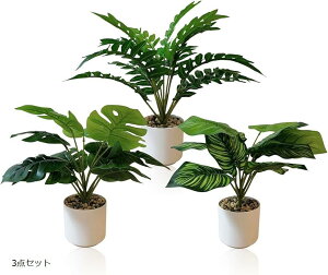 yyVLO1ʓ܁ztFCNO[ lHϗtA    CeA t sv (3_Zbg, )