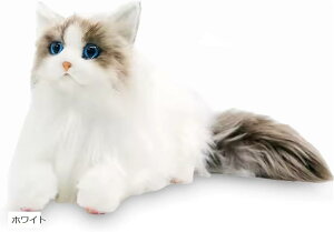 L A ʂ { L̂ʂ ˂ lR ӂӂ CeA lRD   l` h[ u  ybgX ^ (zCg)