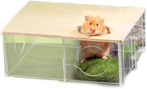 nX^[ nEX 傫 ` (NA, 28.2cmA20.6cmA10.6cm)