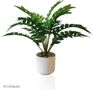 tFCNO[ lHϗtA    CeA t sv (U~INJX, )