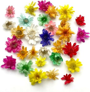 ~jt[ hCt[ Wp fRf 2g 440 Jt~bNX E971