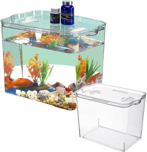  vX`bN ̐  T ^ eg x^ AN ̕ Wt (F)