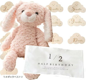 BeZbgt t@[XggC { Ԃ ʂ }Cxr[Xg V v[g (+^yXg)