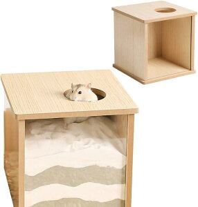 nX^[ у``nEX  B C bgnEX ؐ 20x20x20cm(ؖڒ)