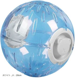 nX^[  nX^[{[ ѓ U i[{[ V GNTTCY{[ Oo (zCg, F20cm)