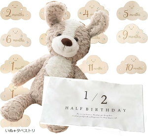 BeZbgt t@[XggC { Ԃ ʂ }Cxr[Xg V v[g (+^yXg)