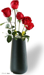 ԕr  20cm  t[x[X(ubN, Basic)