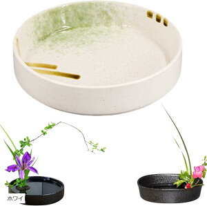 ԗp̉Ԋ ؓ ԕr t[AWg  ԗpԊ ԓ ΂ȓ ؓpԊ ԉԊ ԍ (@zCg, Medium)