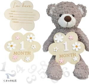 BeZbgt t@[XggC  n[to[Xf[ 100j }Cxr[Xg ʂ 蕨 Mtg oYj (+؎D)