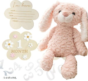 BeZbgt t@[XggC  n[to[Xf[ 100j }Cxr[Xg ʂ 蕨 Mtg oYj (+؎D)