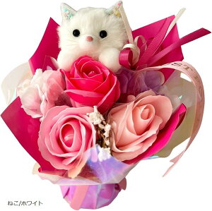 mA  v[g \[vt[ Mtg ԑ 蕨  (˂/zCg, )