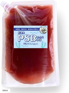 PSB ׋ Zx|{ oNeA P(bh, 500ml)