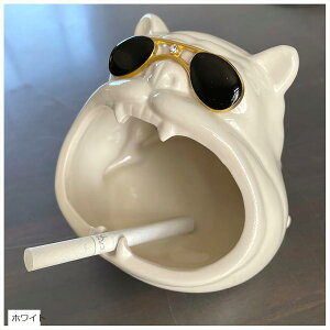 DM  t`uhbO DM e  킢 (zCg)