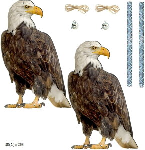 悯  ObY 悯  JX悯 JX ΍ObY x_ }V ݂艺 (I\, (1)x2)